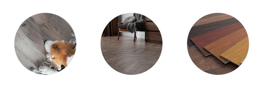 Flooring Business in Dartford and South East London Three Circle Image of Laminate Flooring Examples, Wooden Home Flooring Complete with Dog